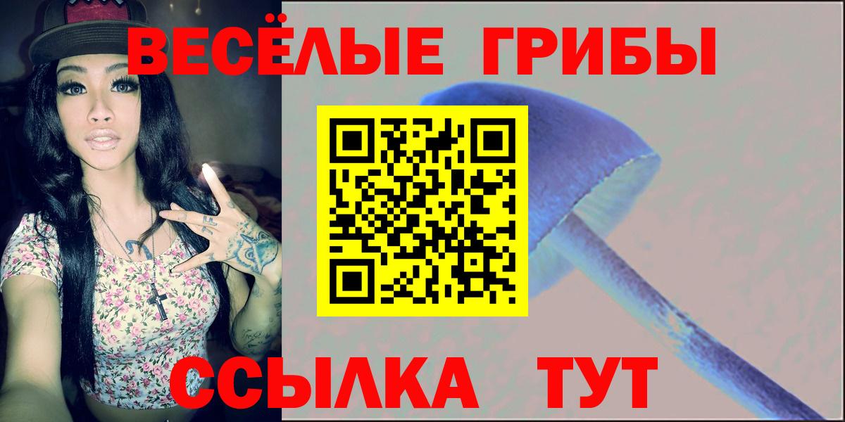 Псилоцибиновые грибы Cubensis  Псилоцибиновые грибы MAGIC MUSHROOMS  Вход с VPN  Истра 