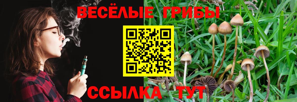 Псилоцибиновые грибы мицелий Истра